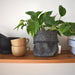 A grey and white wool storage basket from Ragmakers. The Milnsbridge basket is dressed on a wooden shelf, with a plant inside. To the left are two beige ceramic mugs, and a pestle and mortar. To the right of the basket is a stack of books.