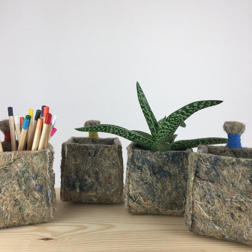 Ragmakers wool storage cubes in a variety of colours, colouring pencils featured in the left-hand cube and a plant in the central cube.