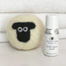 Suffolk Wool Laundry Ball and Oil by Little Beau Sheep