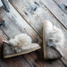 Amalia stone womens Slippers from shepherd of sweden in Stone on their side on wooden floor