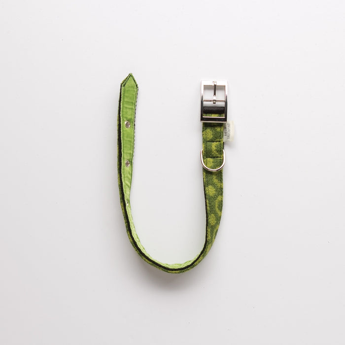 Medium Pure Wool Dog Collar. A Green Wool Halos and Spots dog collar with chrome adjustable buckle and tag clasp.